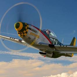 P-51 Gunfighter