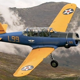 BT-13 