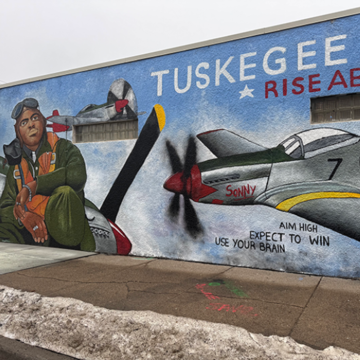 Landscape_profile_tuskegee_airmen-4