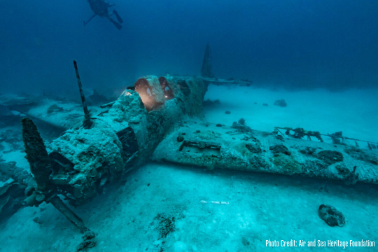 Landscape_profile_texas_recovery_plane-1