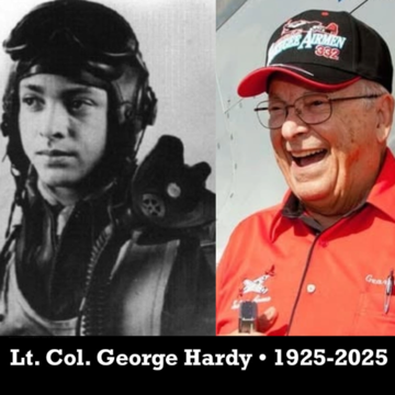 Landscape_profile_george_hardy-5-2