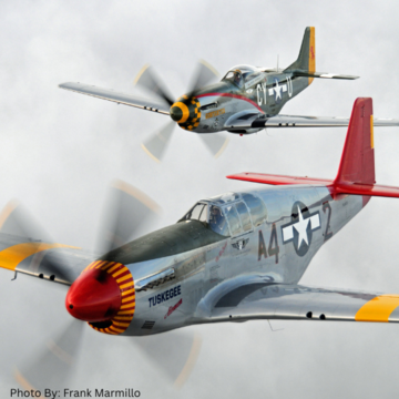 Landscape_profile_p51